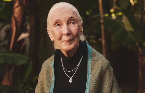 Jane Goodall's Brilliant Earth Line Honors 'My Beloved Tanzania:' Inside the Iconic Conservationist's Collab