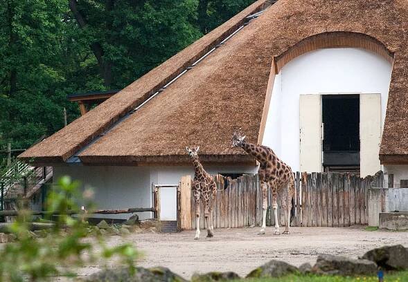 Výlet do Zoo | Obec Bělov