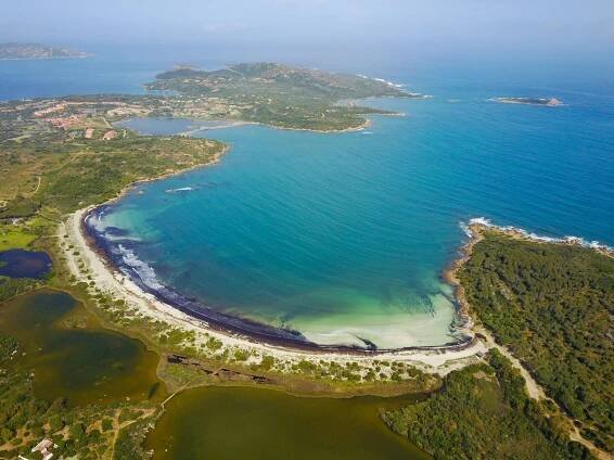 Aerial view of beach in San Teodoro