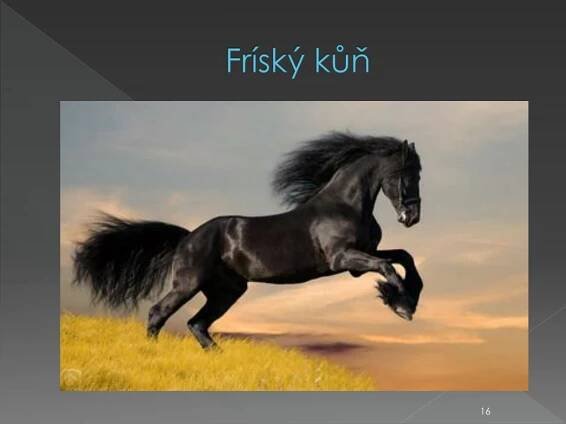 PPT - KONĚ PowerPoint Presentation, free download - ID:2207043
