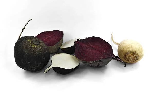 Bezplatný obrázek: zemědělství, antioxidant, červená řepa, průřez, ředkvička, kořeny, jídlo, kořen, vyrobit, zdraví