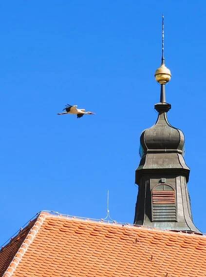 Drama jako z čapí telenovely v Třebíči. Boje, nová láska i milostný tanec