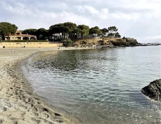 Best Taxi Tourist Tours in Catalonia - Barcelona taxi tour