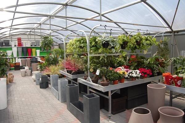 Vivai Mazzaglia | Realizzazione giardini e vendita piante | Catania 
