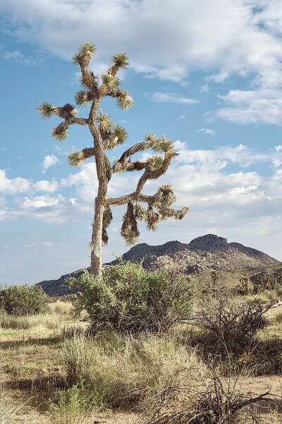 Gallery 3 — Chris Atwood