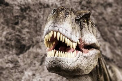 Tyrannosaurus zobrazující ústa zubatý — Stock obrázek