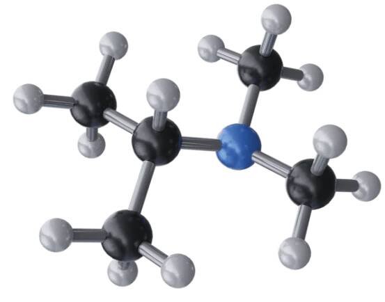 Dimethylisopropylamin | Produkty pro slévárenství | Produkty | BorsodChem MCHZ - Czech Republic