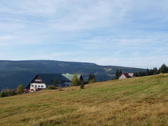 Javor (Krkonoše)