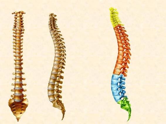 Osteochondróza krční páteře: příznaky a léčba dostupná doma