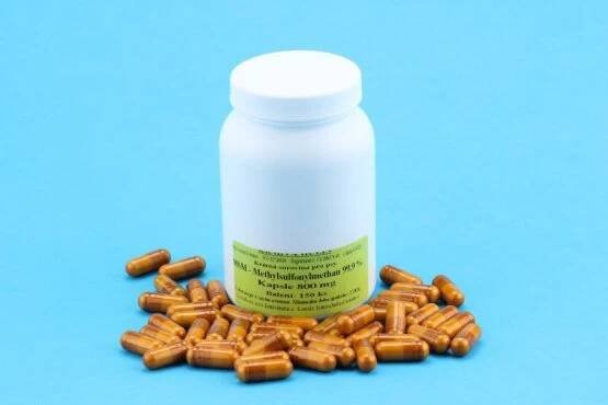 MSM - Methylsulfonylmethan 99,9 % - Kapsle 750 mg - pro psy - Počet ks: 150 ks