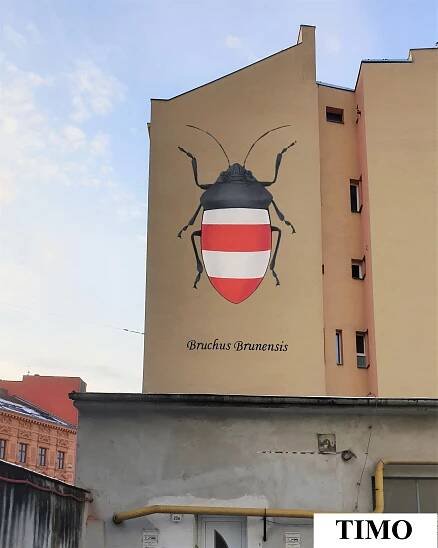 Městská galerie | Darujme.cz