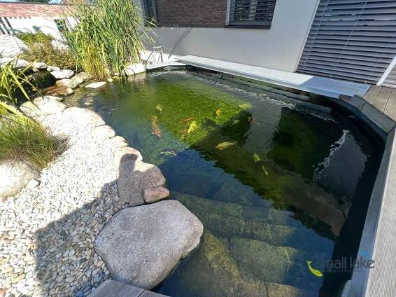 Jezírko pro chov ryb s průhledovým oknem do interiéru - Ohrobec 40 m3 - Zahradní jezírka | small lake