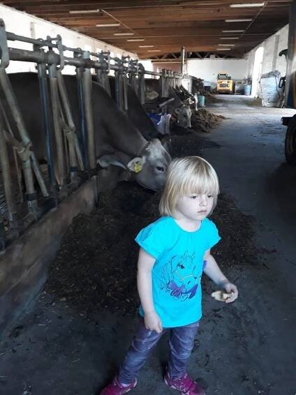 Základní škola a Mateřská škola Malšice | Farma Liška - projektový den