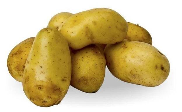 Brambory rané - varný typ: B, min. 3 kg
