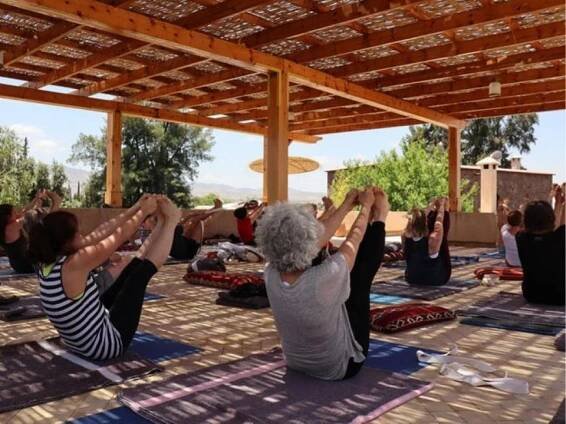 Yoga Teacher Training Group