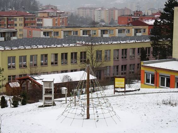 Opravy školy zkomplikuje i rorýs