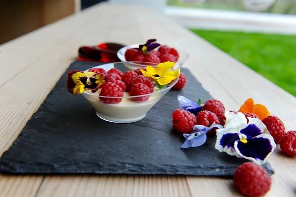 Panna cotta dezert