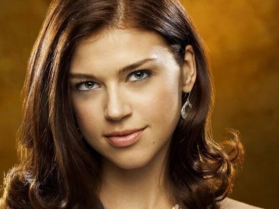 Adrianne Palicki striking a pose in an elegant outfit Wallpaper