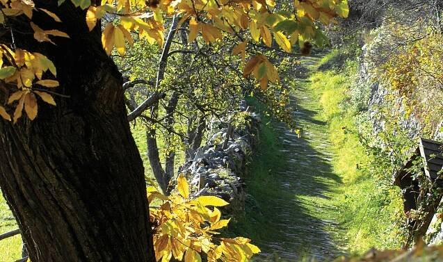 Herbst in Feldthurns