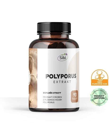 POLYPORUS EXTRAKT 90 KAPSLÍ 500 mg