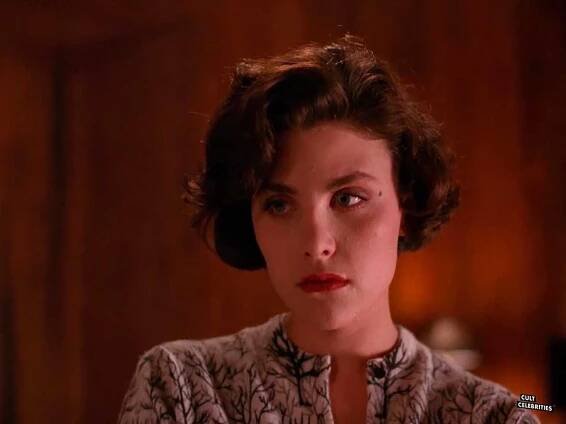 Sherilyn Fenn – Cult Celebrities