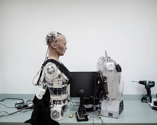 Sophia Hanson, a humanoid robot.