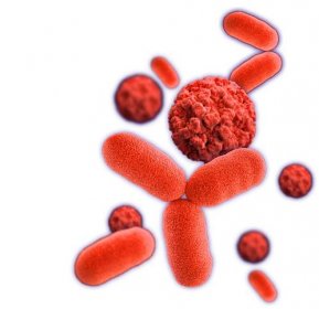 Red Bacteria