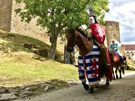 Štíty stříbrného lva - Velhartice