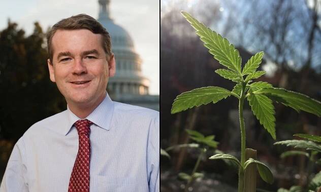 Where Presidential Candidate Michael Bennet Stands On Marijuana - Marijuana Moment