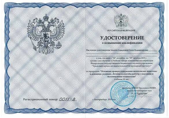 сертификат Соколова О.В.