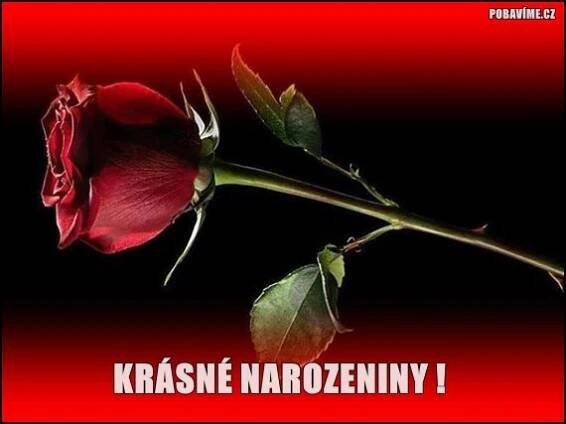 Přání k narozeninám v obrázcích