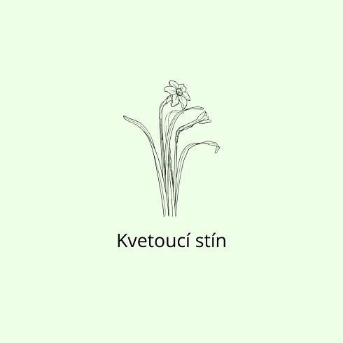 Kvetoucí stín
