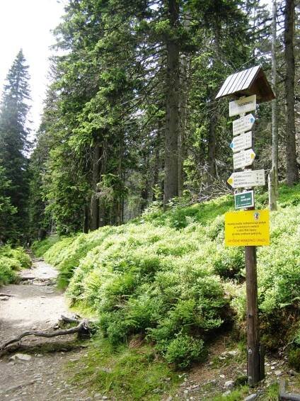 turistické rozcestí - Pod... - Rozcestí