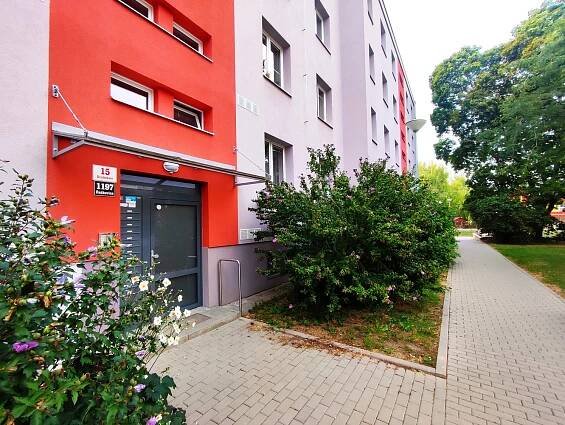 Družstevní, Brno - Řečkovice