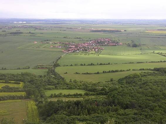 Mnetěš - Vikipedio