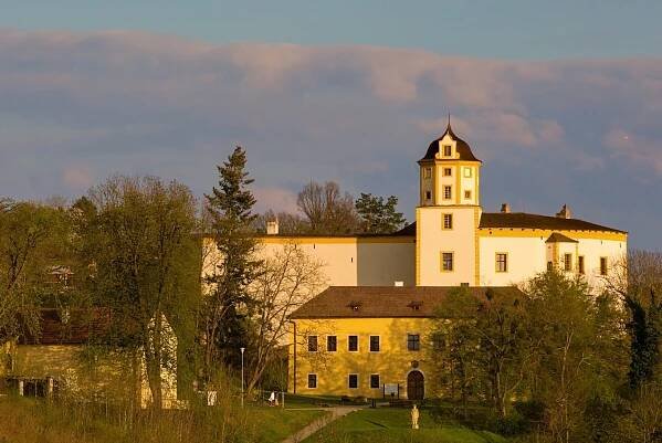Hrad Malenovice