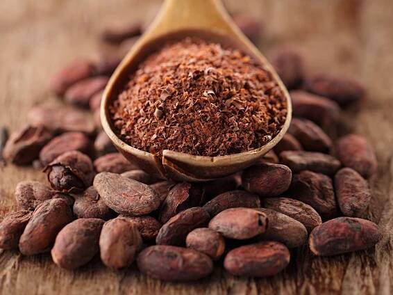 Cocoa: Tree of Gods