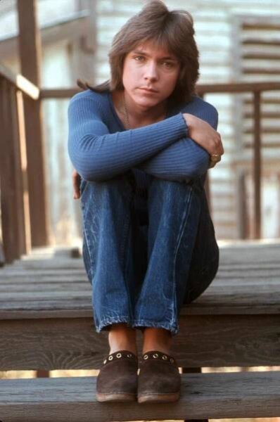 David Cassidy: Looking Back at the Late Teen Heartthrob's Ups and Downs
