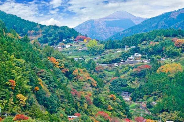 údolí iya v prefektuře tokušima, šikoku, japonsko - iya valley - stock snímky, obrázky a fotky