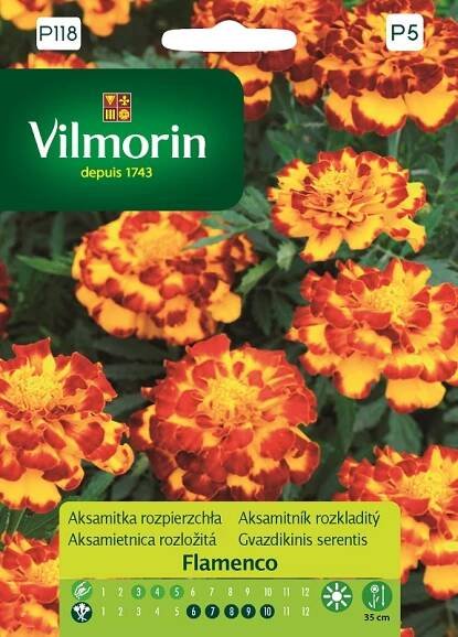 Aksamitník rozkladitý Flamenco - žlutočervený (Vilmorin)