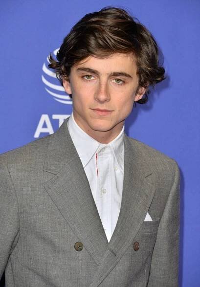 Timothée Chalamet side swept waves hair 2019