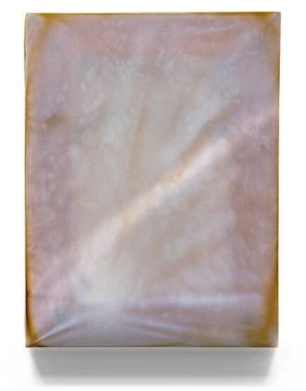   Invisible Bodies Produce Skins to Breathe 1.  Cellulosic skin grown by A. xylinum, 10 x 8 inches. 2011-2020. 