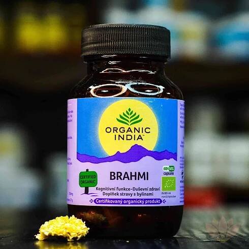 Brahmi