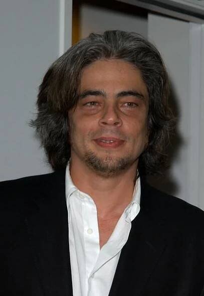 Benicio Del Toro fotka