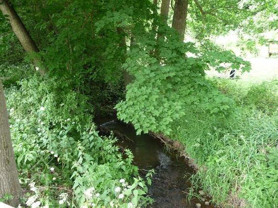 Karáskův, Vébrův mlýn, mlýn Na Padově | Vodnimlyny.cz