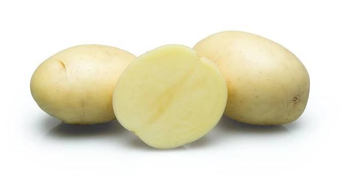 brambory labadia
