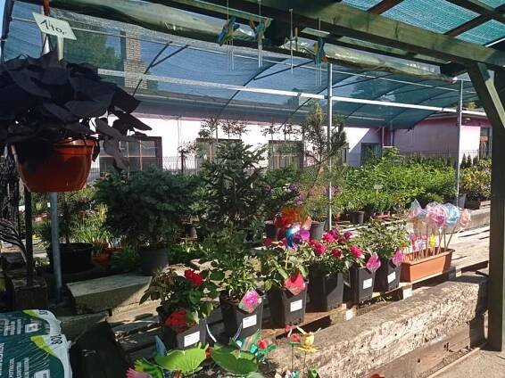 Galerie - ZAHRADNICTVÍ - KAMENICTVÍ KARVINÁ FRUTO.CZ 