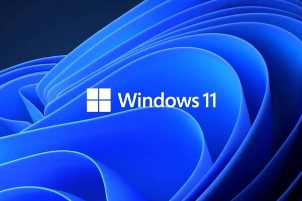 How to run Windows 11 on a Chromebook
