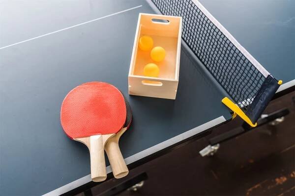 Table Tennis Ping Pong