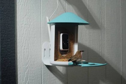 Kamera na ptačí krmítko Birdfy AI k rozpoznávání ptáků